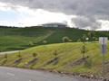 ...National Arboretum in infancy...