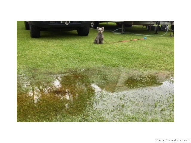 We had a good storm, eh Andre?