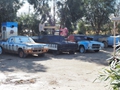 Utes taken away from the paddocks
